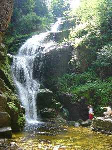 Image Image